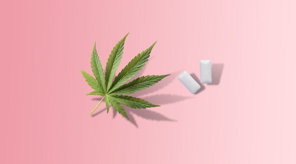 All You Need To Know About CBD Gum