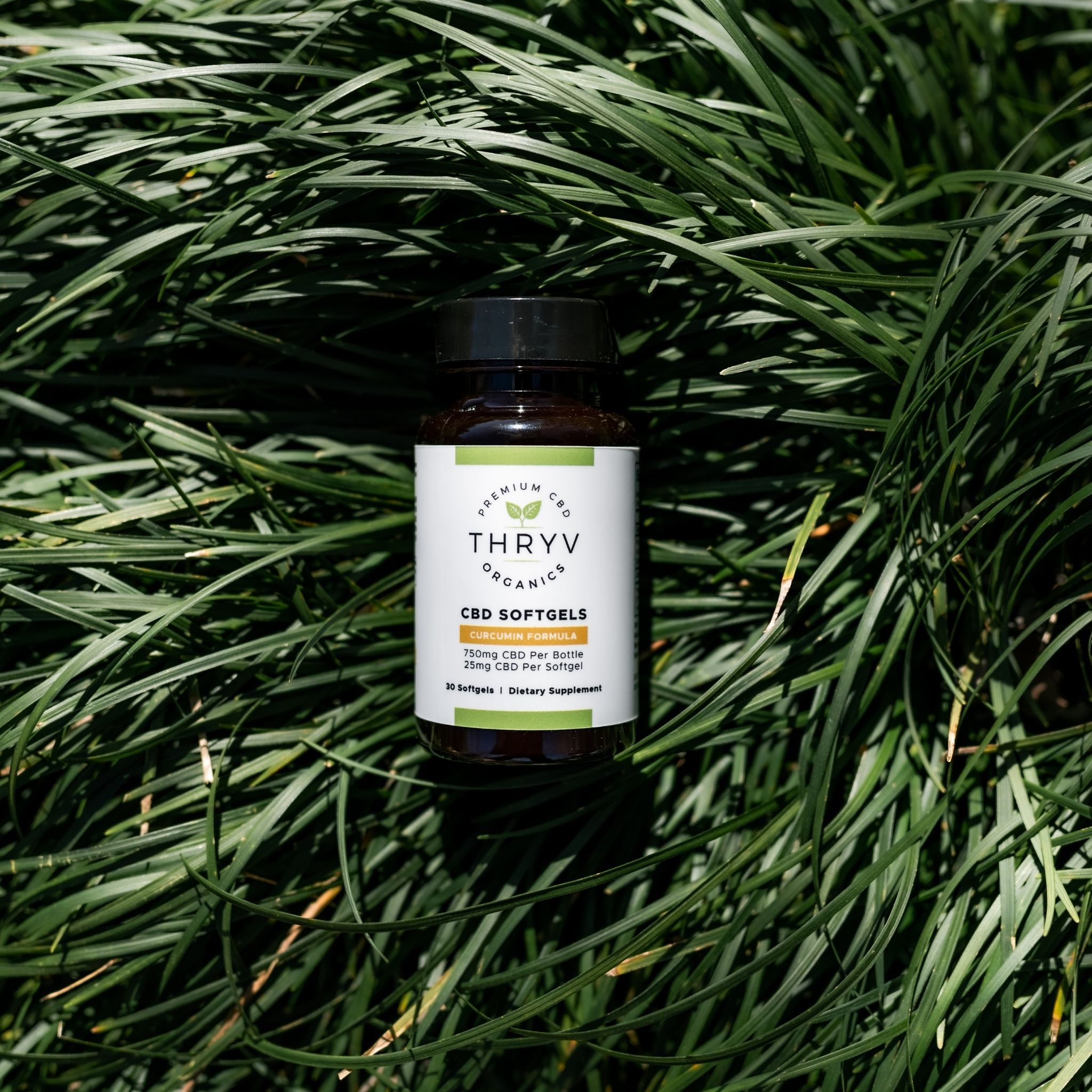 Curcumin CBD Oil Softgels Capsules Thryv Organics