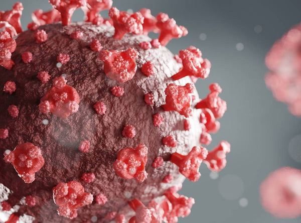 CBD and the Immune System: Dealing with Coronavirus