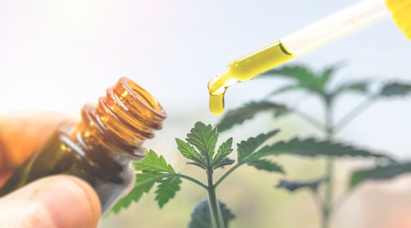 Getting Started with CBD: A Guide for New Users