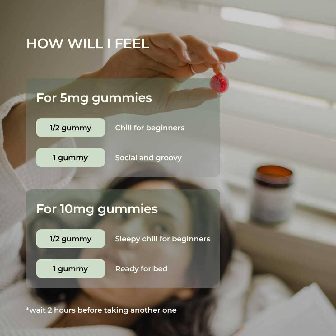 The THC Explorer Pack Thryv Organics 